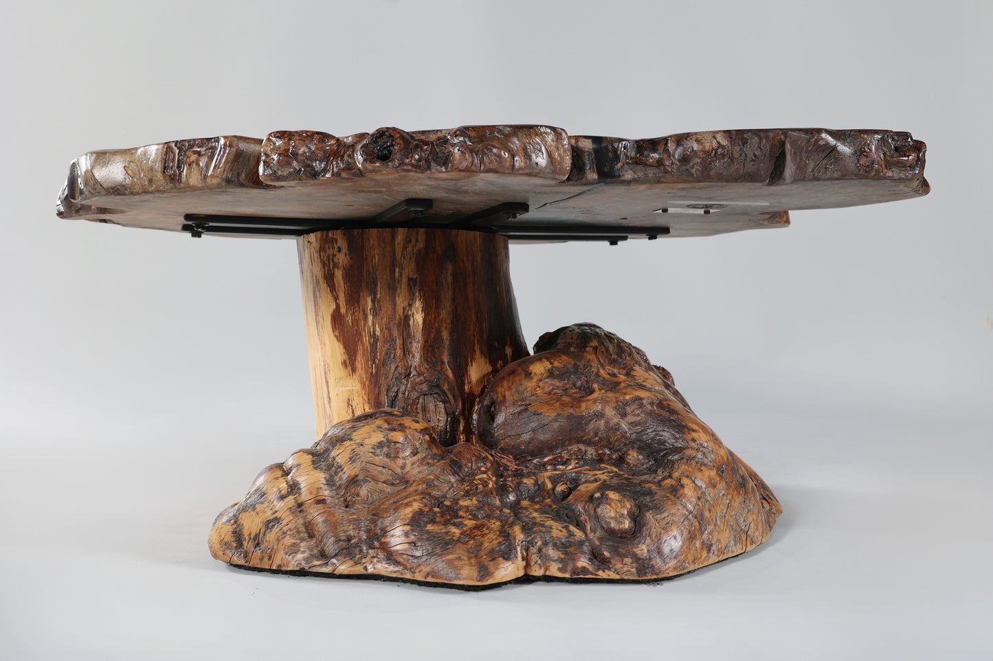 Spalted Sugar Maple Crosscut with Epoxy Pool on Burl Stump Base