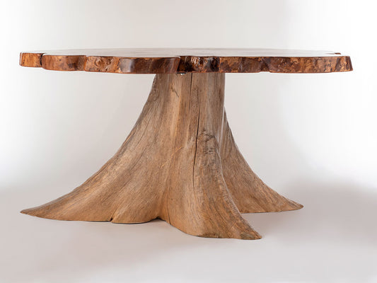 Silver Maple w/ Northern White Cedar Stump