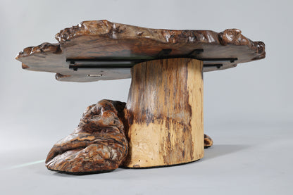 Spalted Sugar Maple Crosscut with Epoxy Pool on Burl Stump Base