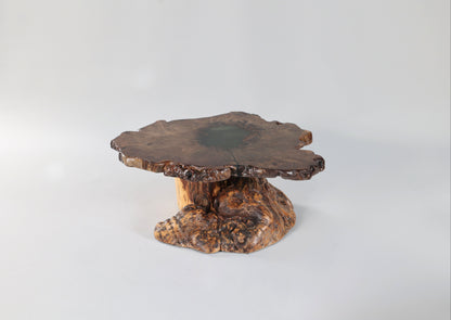 Spalted Sugar Maple Crosscut with Epoxy Pool on Burl Stump Base