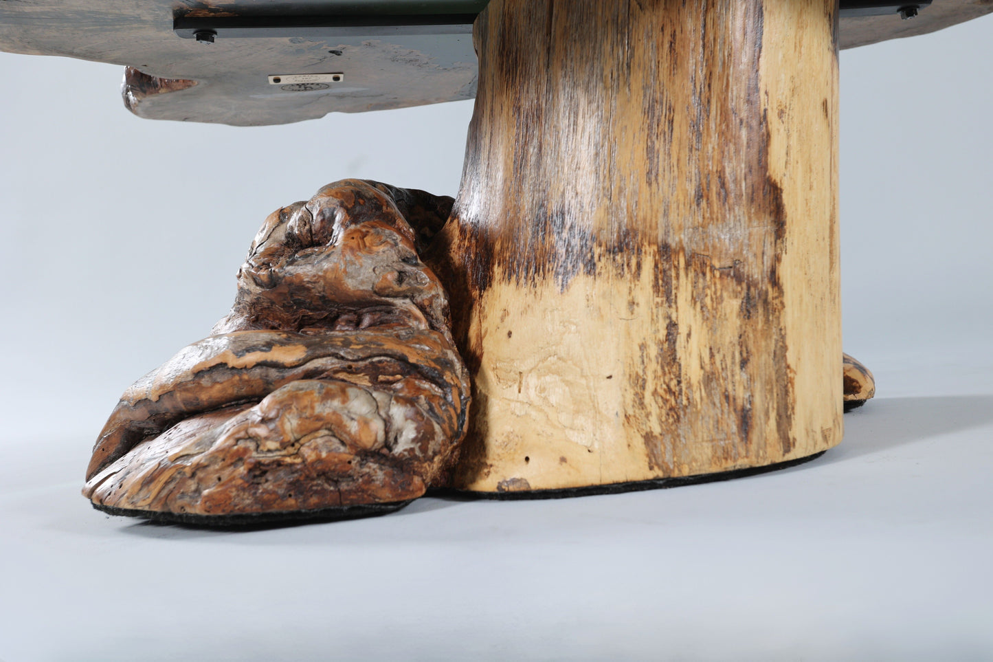 Spalted Sugar Maple Crosscut with Epoxy Pool on Burl Stump Base