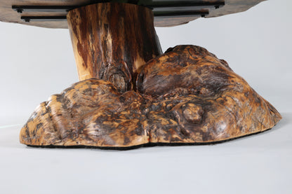 Spalted Sugar Maple Crosscut with Epoxy Pool on Burl Stump Base
